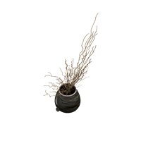 Dry branch