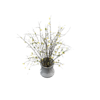 Dry branch