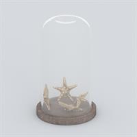 Starfish furnishing articles