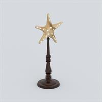 Starfish furnishing articles