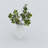 Desktop green plant - the number of faces is too large. 19.7.23 off the new ID48325489