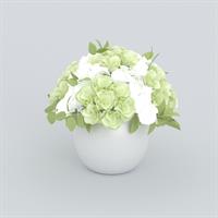 Desktop floral