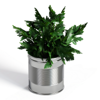 Desktop green plants