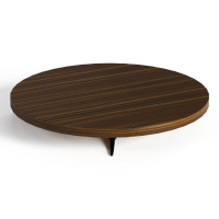 modern  Solid wood  Tea table