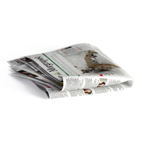 newspaper