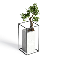 Decorative green plants
