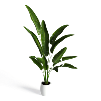 落地盆栽