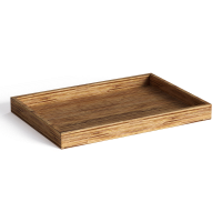 Modern decorative tray