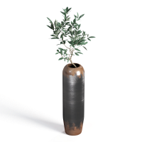 Potted plant