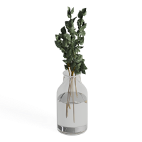 Desktop green plants