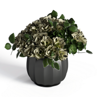 Desktop Floral