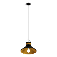 modern  metal  Hang  Light