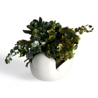 Desktop green plants