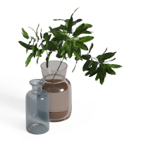 Desktop green plants