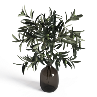 Desktop green plants