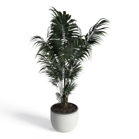 The ground of pot
