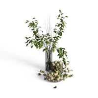 Desktop green plants