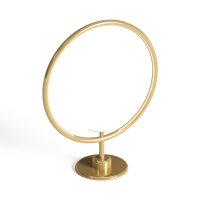 Light luxury metal table lamp - use of photographic function
