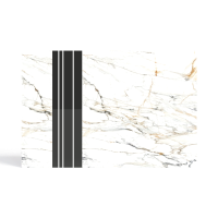 Light luxury background wall