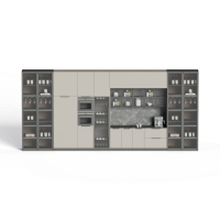 Modern whole cabinet
