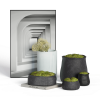 New Chinese style moss decoration combination