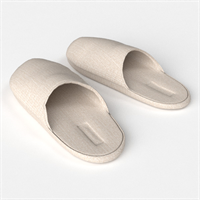 flip flop