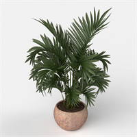 Floor pot