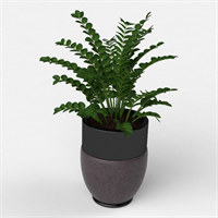 Floor pot
