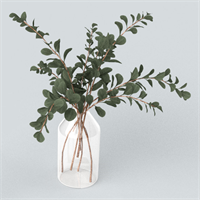 Desktop greenery