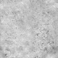 Screed