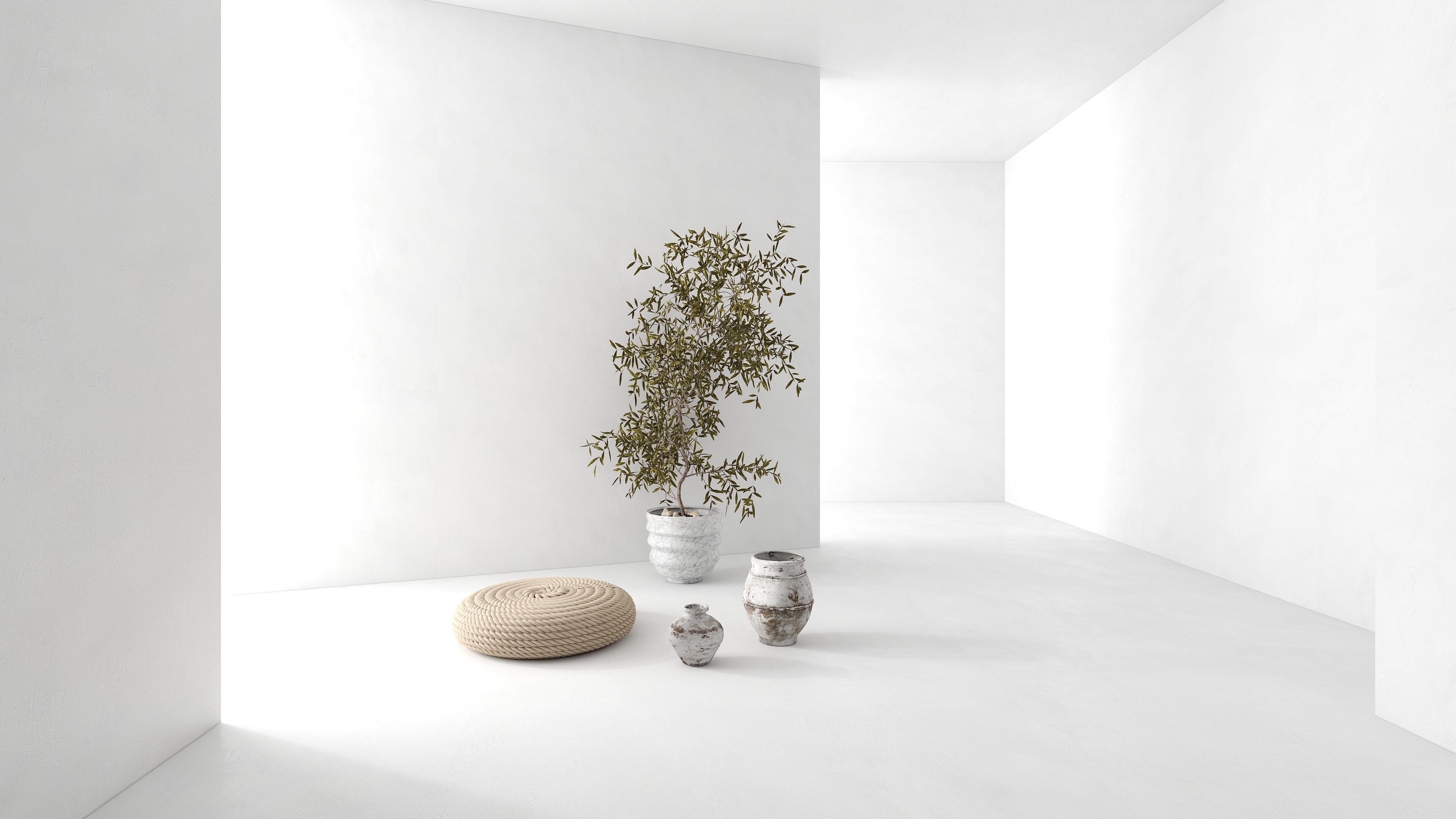 Plant pot decoration combination