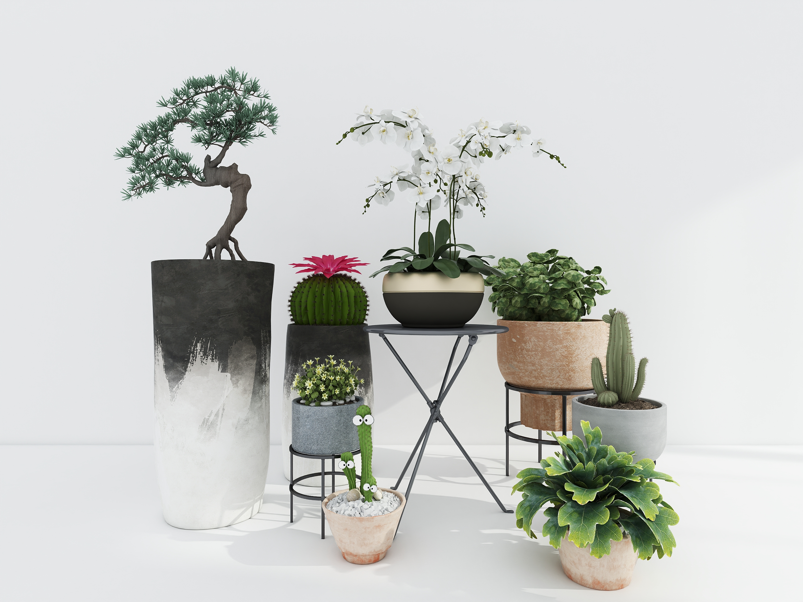 New Chinese style green plant combination