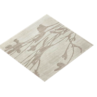 Chinese carpet