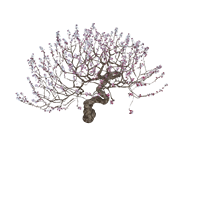 The tree