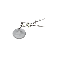 Dry branch