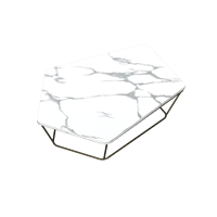 Modern marble coffee table