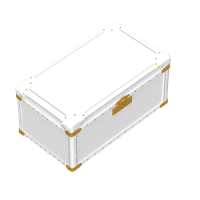 Luggage