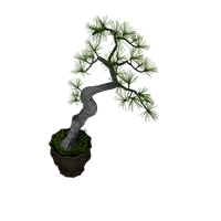 The ground of pot