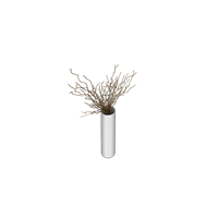 Dry branch