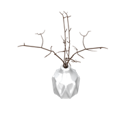 Dry branch