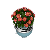 Desktop floral