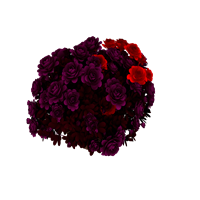 Desktop floral