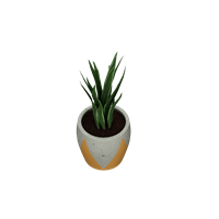 Desktop green plant