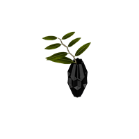 Desktop green plant