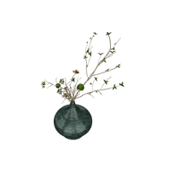 Desktop green plant