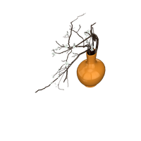Dry branch