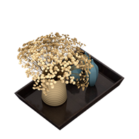 American decorative tray