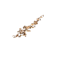 Chinese ornaments