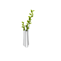 Desktop green plant