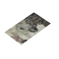 Chinese carpet